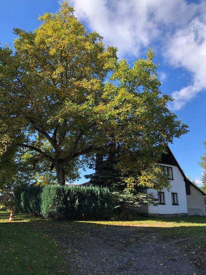 Villa Utulna Chaloupka V Krkonosich Vysoké nad Jizerou Exterior foto
